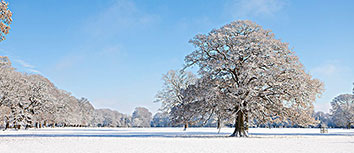 葡萄牙女足球员表现抢眼，备受关注