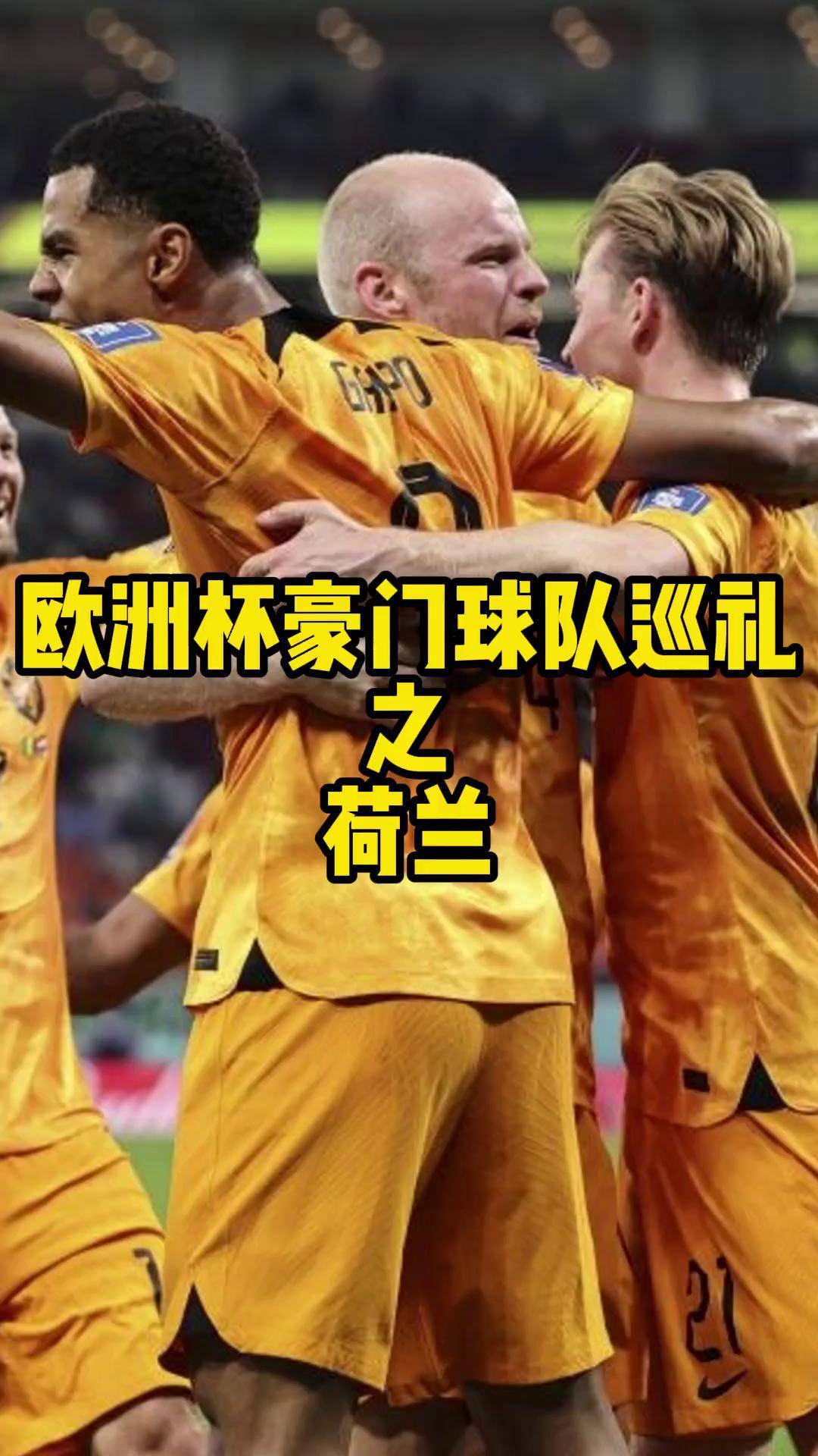 九游体育入口-荷兰队球员伤愈复出，欧洲杯出线前途光明的简单介绍