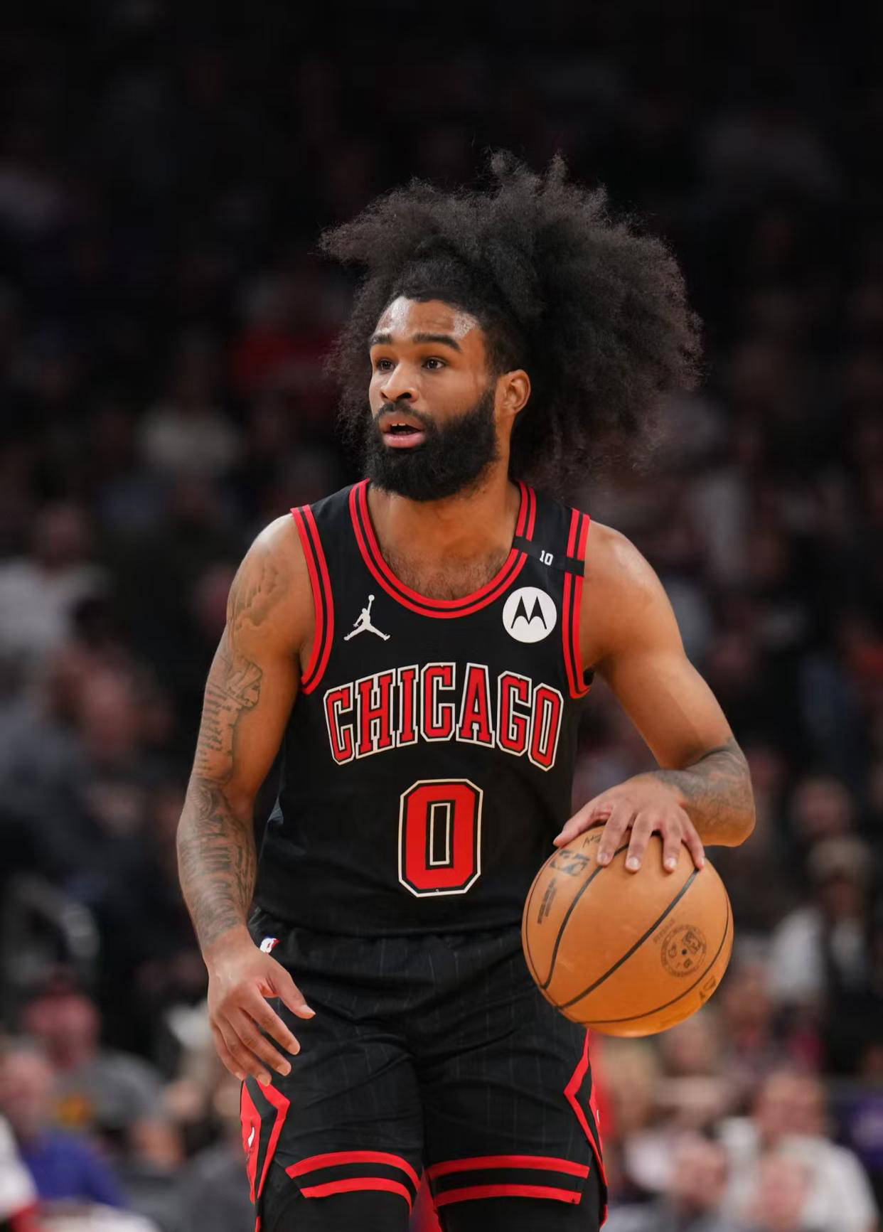 包含惊喜连连！NBA比赛的黑马崭露头角的词条