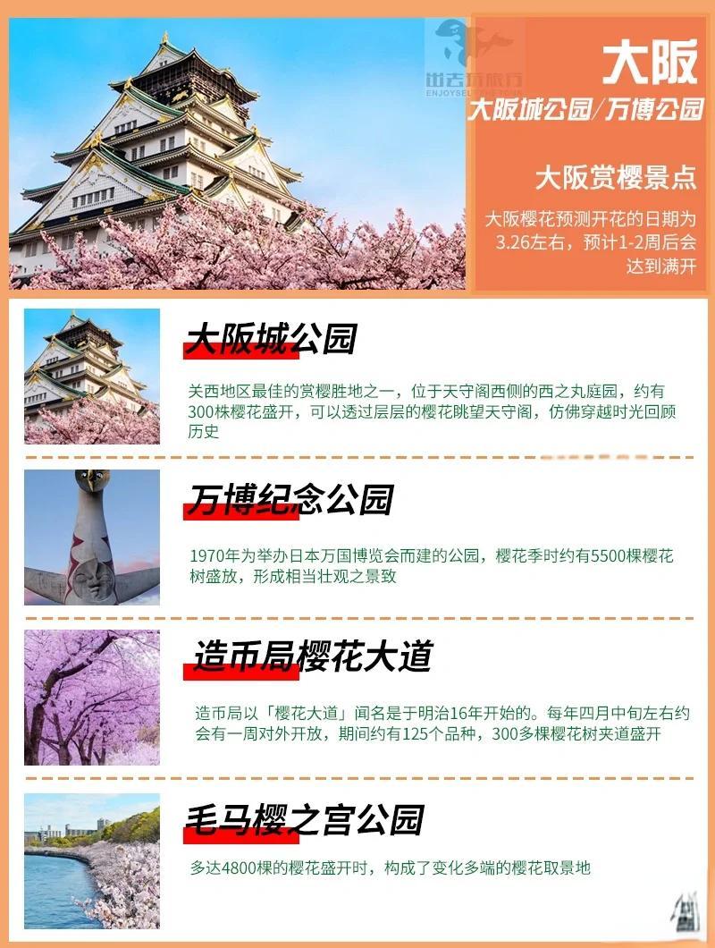 大阪樱花夺冠在望，蓄势待发迎接决赛的简单介绍